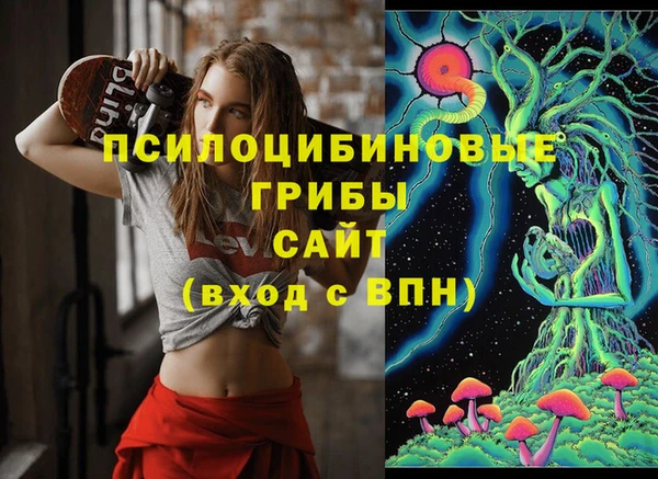 ПСИЛОЦИБИНОВЫЕ ГРИБЫ Армянск