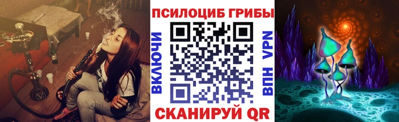 блэк спрут   Кяхта  Псилоцибиновые грибы ЛСД  хочу  